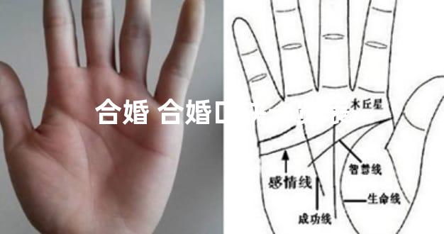 合婚 合婚口诀一览表